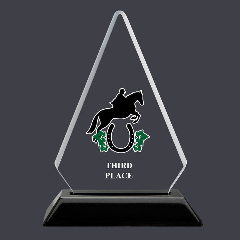 6-1/4" Custom Full Color Arrowhead Acrylic Award