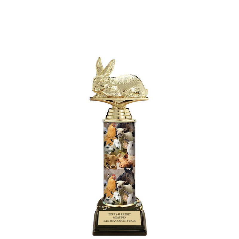 11" Black Base Award Trophy