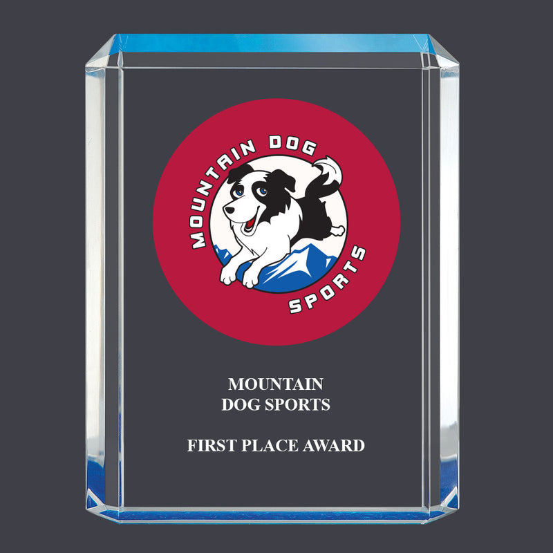 4-3/4" x 6-1/4" Custom Full Color Blue Shimmer Acrylic Award