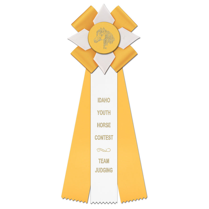 Dorset 3 Rosette Award Ribbon