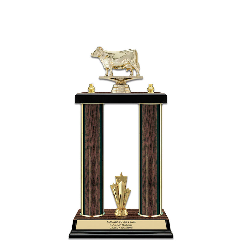 15" Walnut Finished Award Trophy With Trim