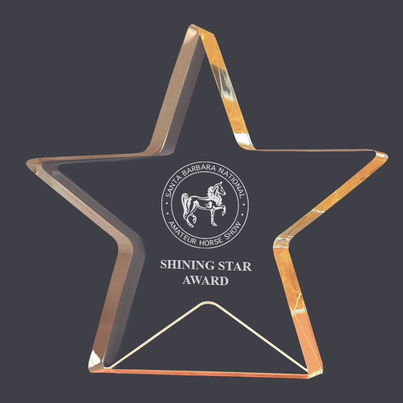 6" Custom Engraved Gold Star Shimmer Acrylic Award