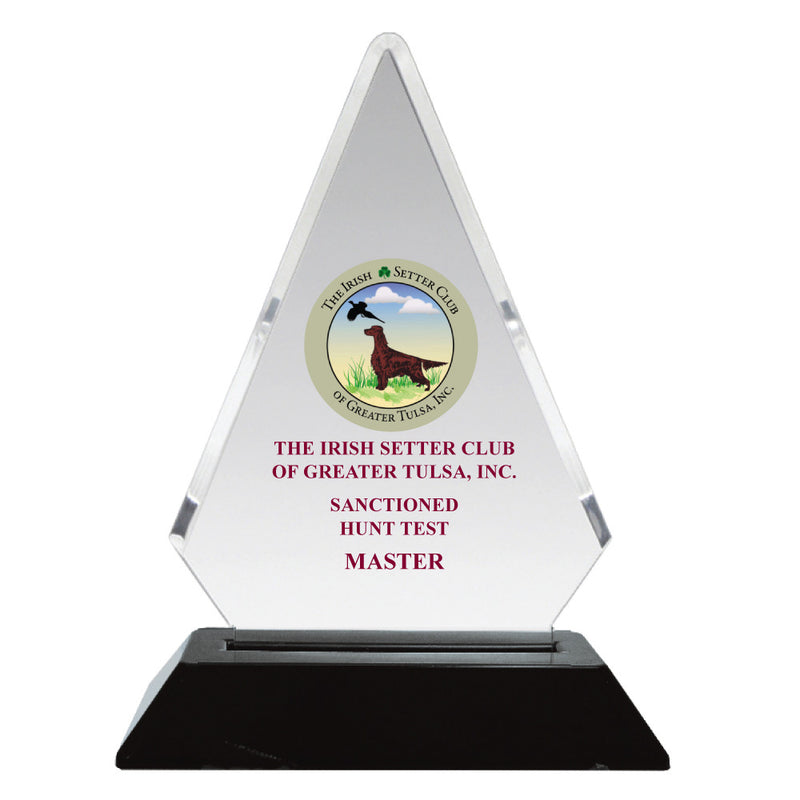 6-1/4" Custom Full Color Arrowhead Acrylic Award