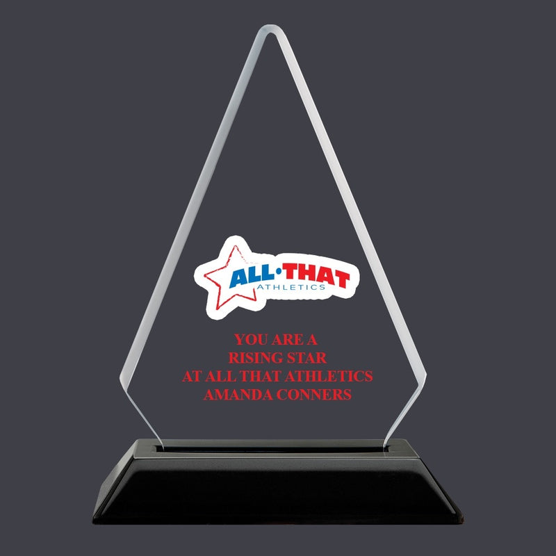 6-1/4" Custom Full Color Arrowhead Acrylic Award