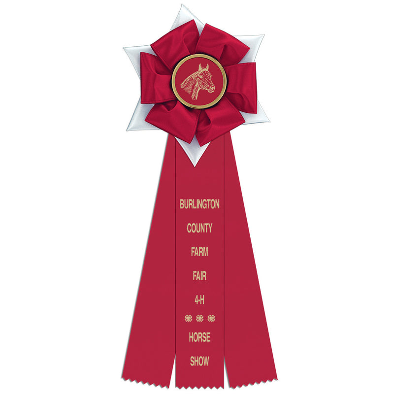 Dartmoor 3 Rosette Award Ribbon